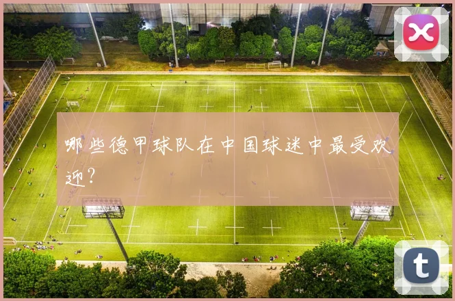 哪些德甲球队在中国球迷中最受欢迎？