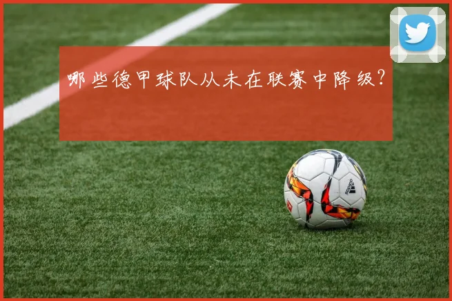 哪些德甲球队从未在联赛中降级？