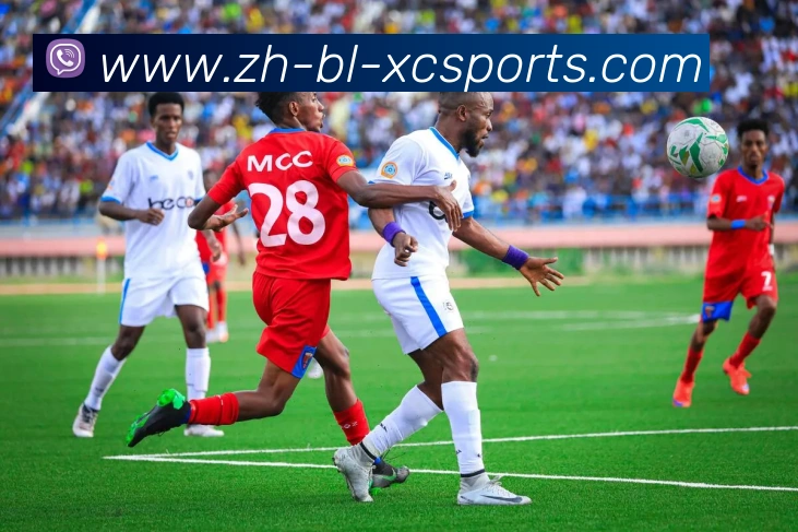 杏彩体育服务体系